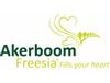 Akerboom Freesia
