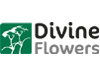 Divine Flowers