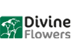 Divine Flowers