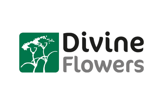 Divine Flowers