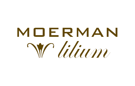 Moerman Lilium