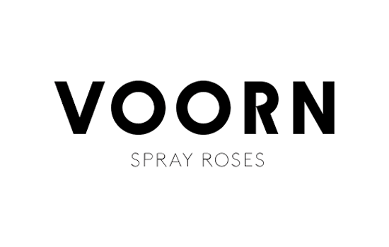 Voorn Spray Roses