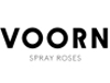 Voorn Spray Roses