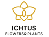 Ichtus