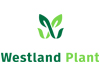 WestlandPlant