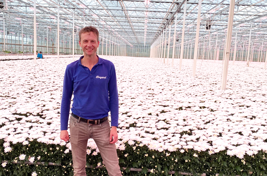 Wouter Beyond Chrysanten