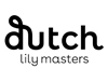 Dutch Lily Masters