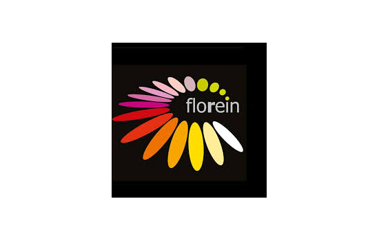 Florein Gerbera