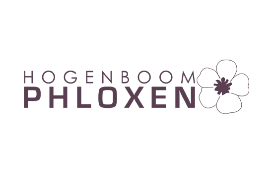 Hogenboom Phloxen