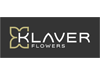 Klaver Flowers