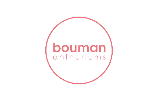 Bouman Anthuriums